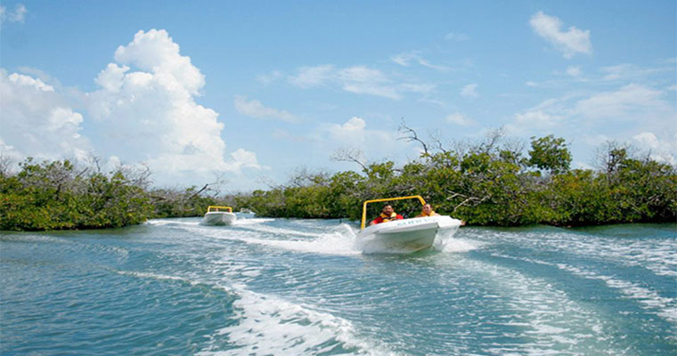 Jungle Tour with Speedboats 